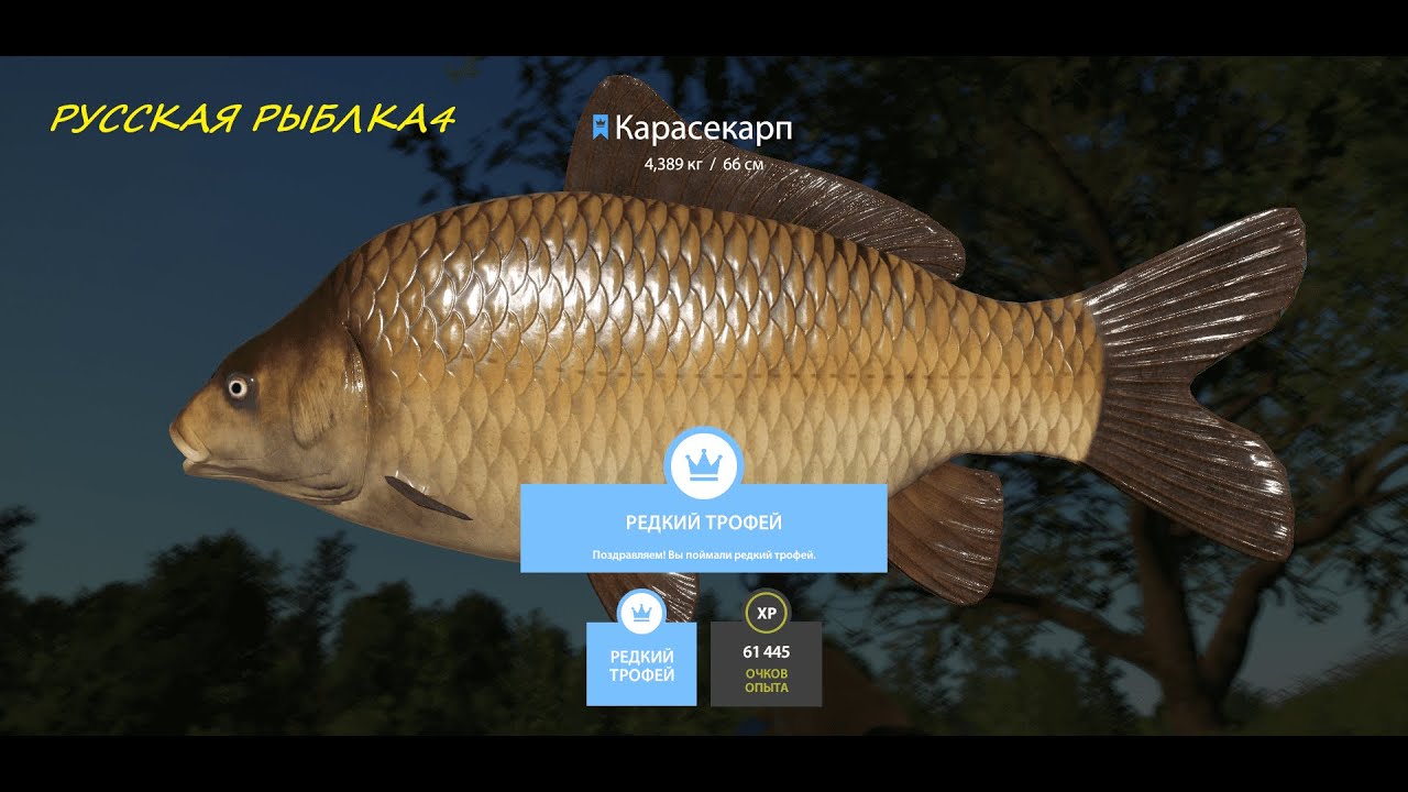 РУССКАЯ РЫБАЛКА 4. #игра #робинзоныч #рыбалка #рр4 #fishing