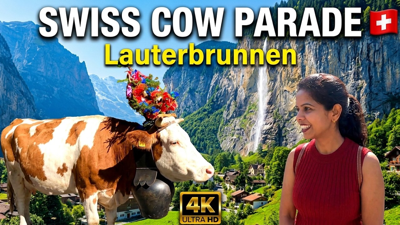 🇨🇭 Switzerland’s Famous Cow Parade | Alpabzug Festival in Lauterbrunnen Switzerland | Staubbachfall