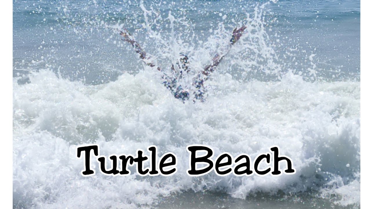 Turtle Beach Karachi ll Seaview ll Sahil-e-Samander