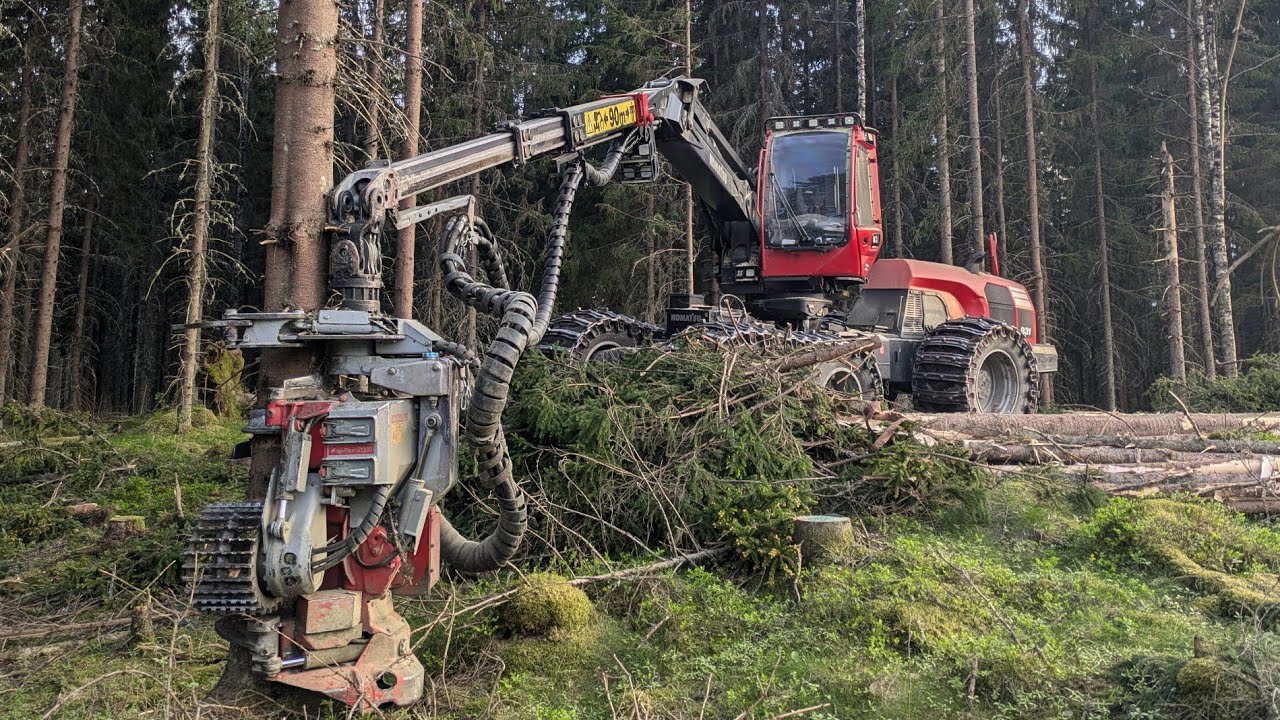 Mukavaa aukkoa Nice final felling. Komatsu 931 & Logmax 5000D