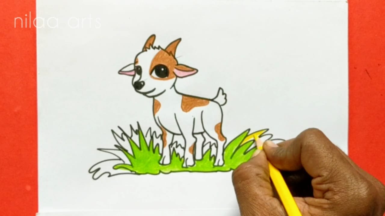 Goat Drawing for Kids | Color pencil drawing for Kids | Easy Goat drawing | Drawing for Begginners