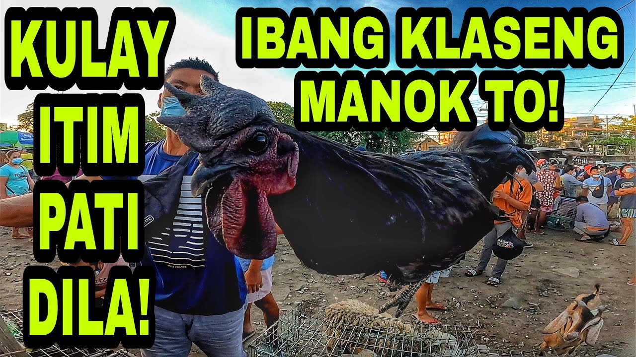 BOCAUE BULACAN, PARANG ZOO SA DAMI NG IBAT- IBANG KLASENG HAYOP!