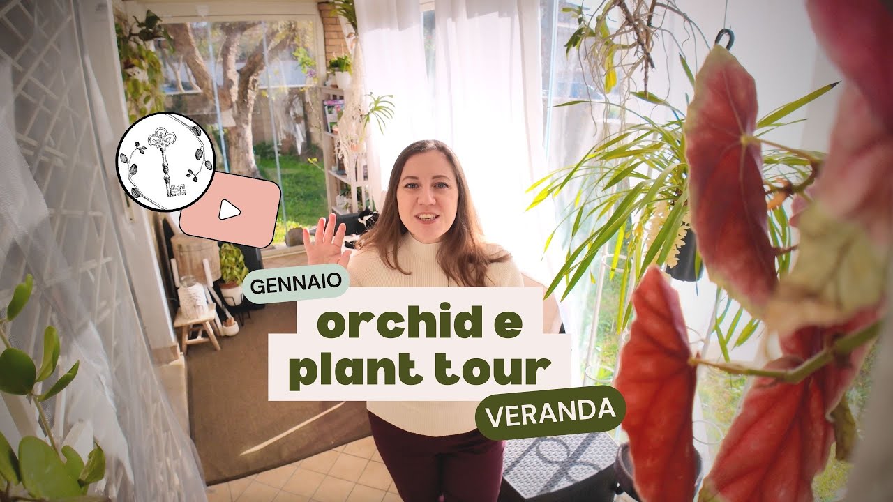 Orchid tour e plant tour di gennaio, aggiornamenti in veranda.