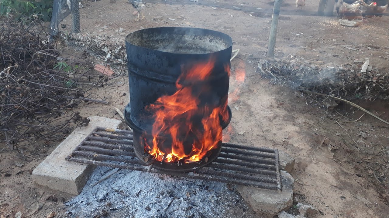 Cozinhando milho para tratar os porcos, (como eu faço).