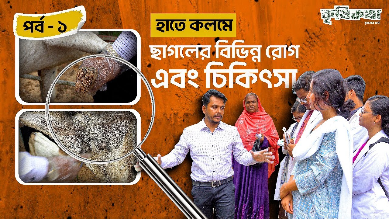 ছাগলের বিভিন্ন রোগ এবং চিকিৎসা  । ডাঃ জোনায়েদ কবীর । Goat Treatment ।Goat Diseases