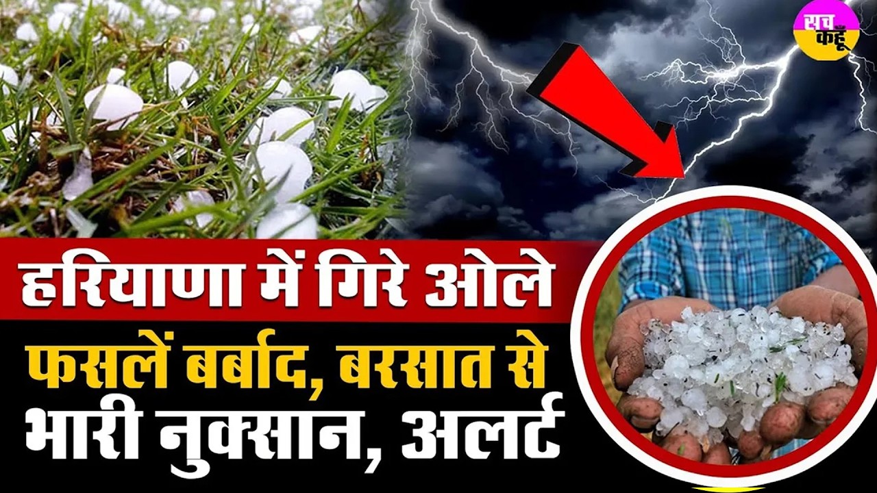 Haryana में तेज बरसात के साथ गिरे ओले | IMD Alert |  Hailstorm Haryana | Heavy Rain | Weather Alert