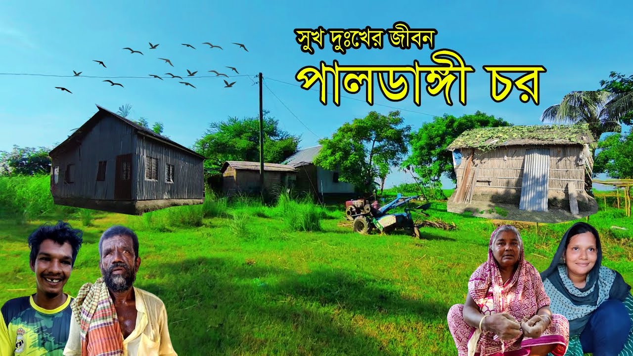 ফরিদপুর পালডাঙ্গী চরের মেহনতি মানুষের সুখ দুঃখের বেঁচে থাকার জীবন || Village Life In Bangladesh