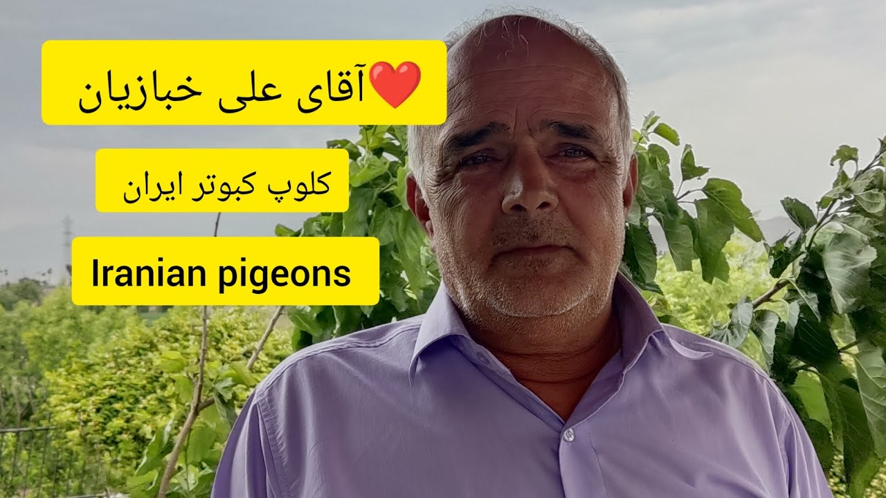 ❤️ اردیبهشت ۱۴۰۲ مصاحبه و گزارش از کبوترخانه آقای علی خبازیان  Iranian high flyers pigeon
