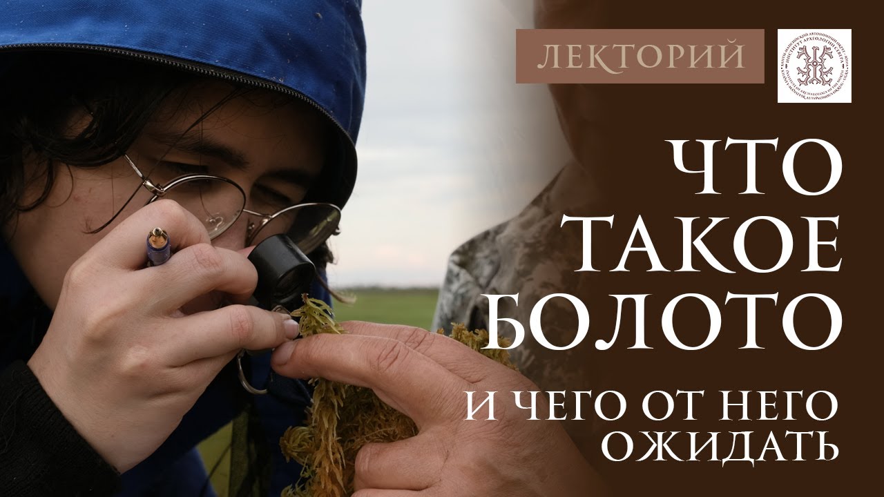 Что такое болото и как оно формируется. Болота бывают разные?