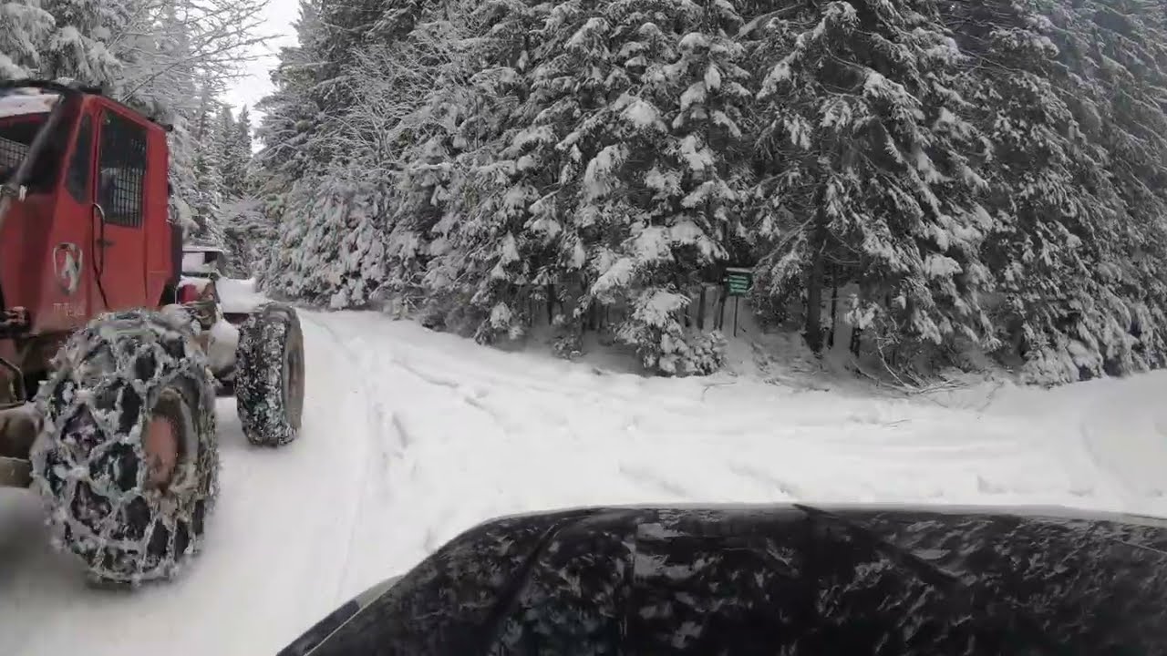 Am vrut sa vedem daca ninge la munte :)