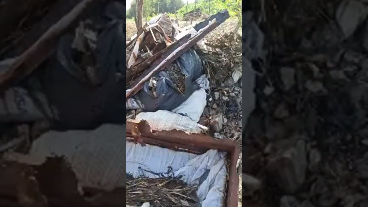 Zona Paranormal Veracruz 2.0 está en vivo