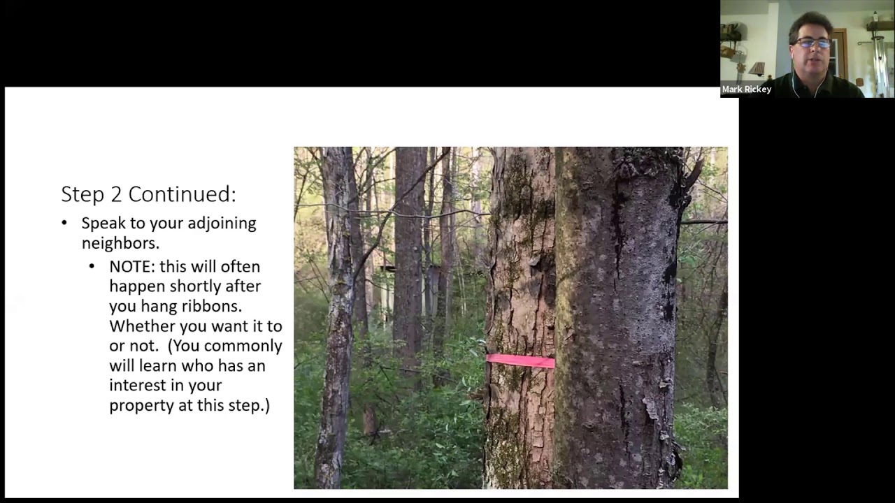 Boundary Marking