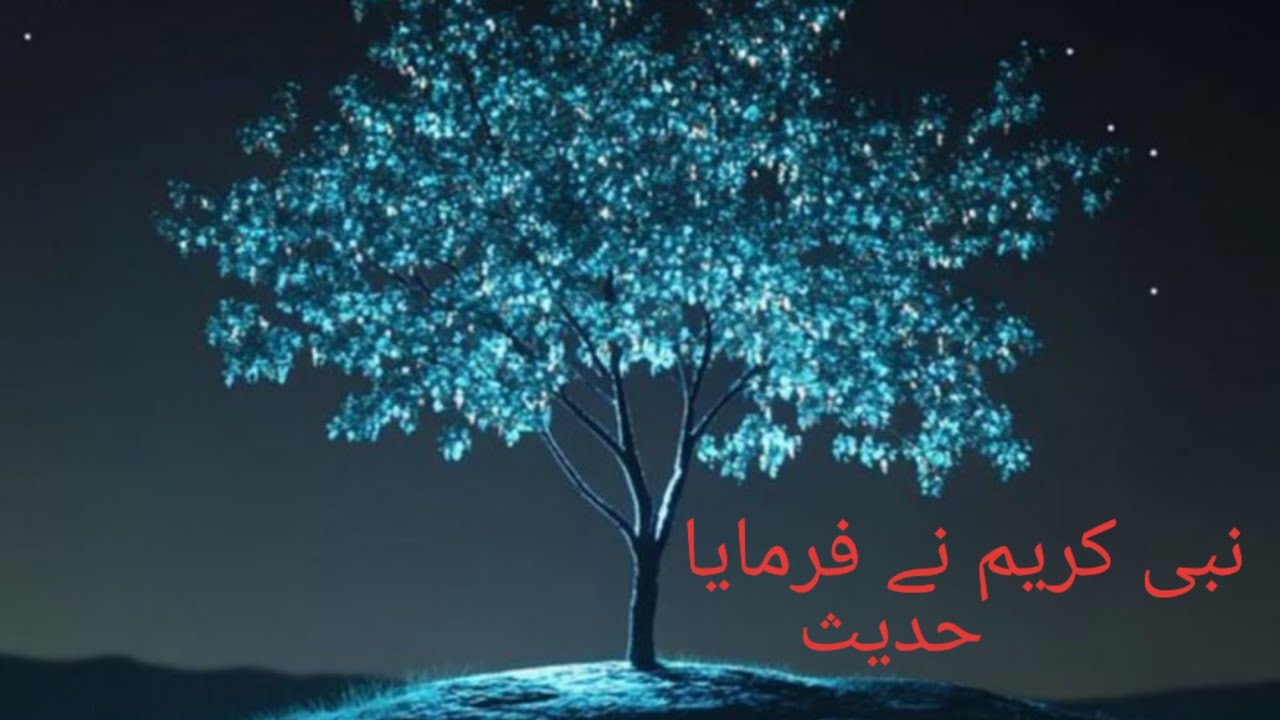 Hazrat Muhammad Sallallahu Salam Na farmaya Hadees nabia viral Islamic story 🤲🤲💞💞💕💕