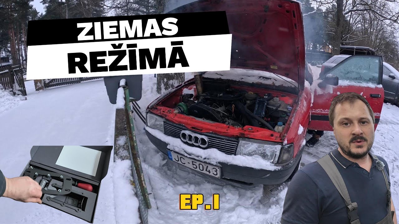 Ziemas režīmā | cūkas atdzīvināšana un upgrade #TDR