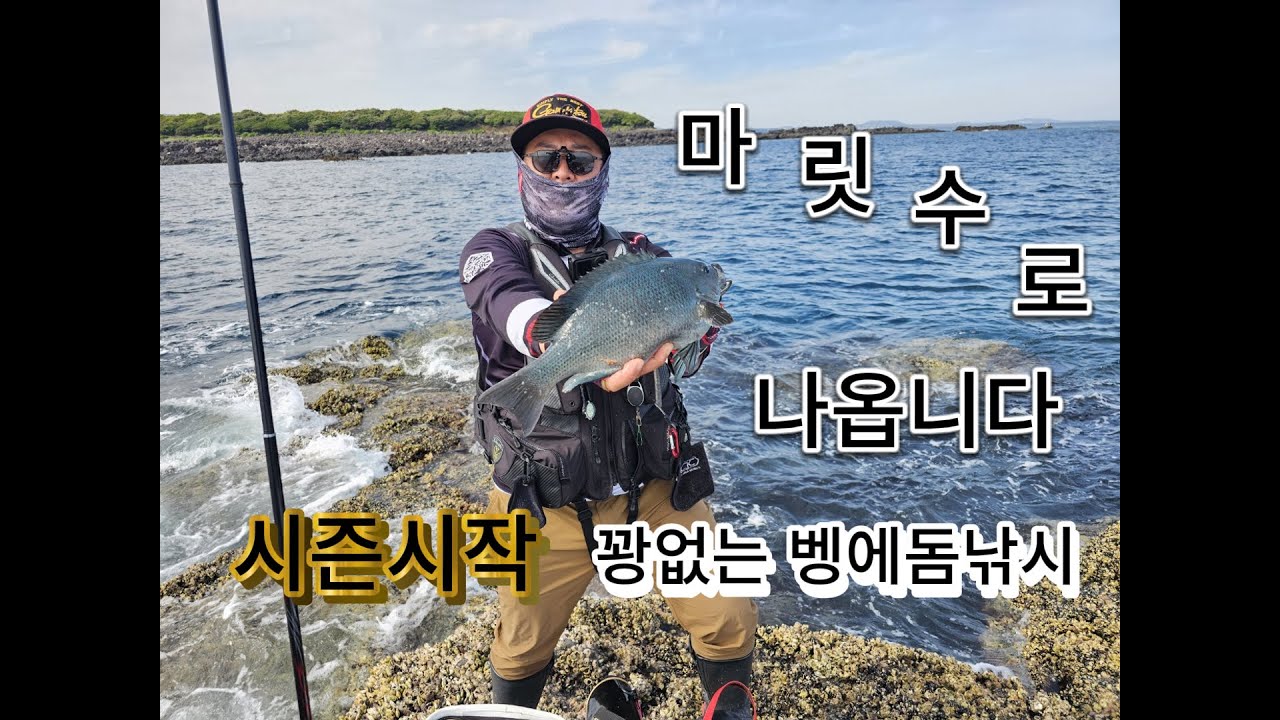 지귀도 긴꼬리벵에돔 낚시 던지면 입질 하네요
