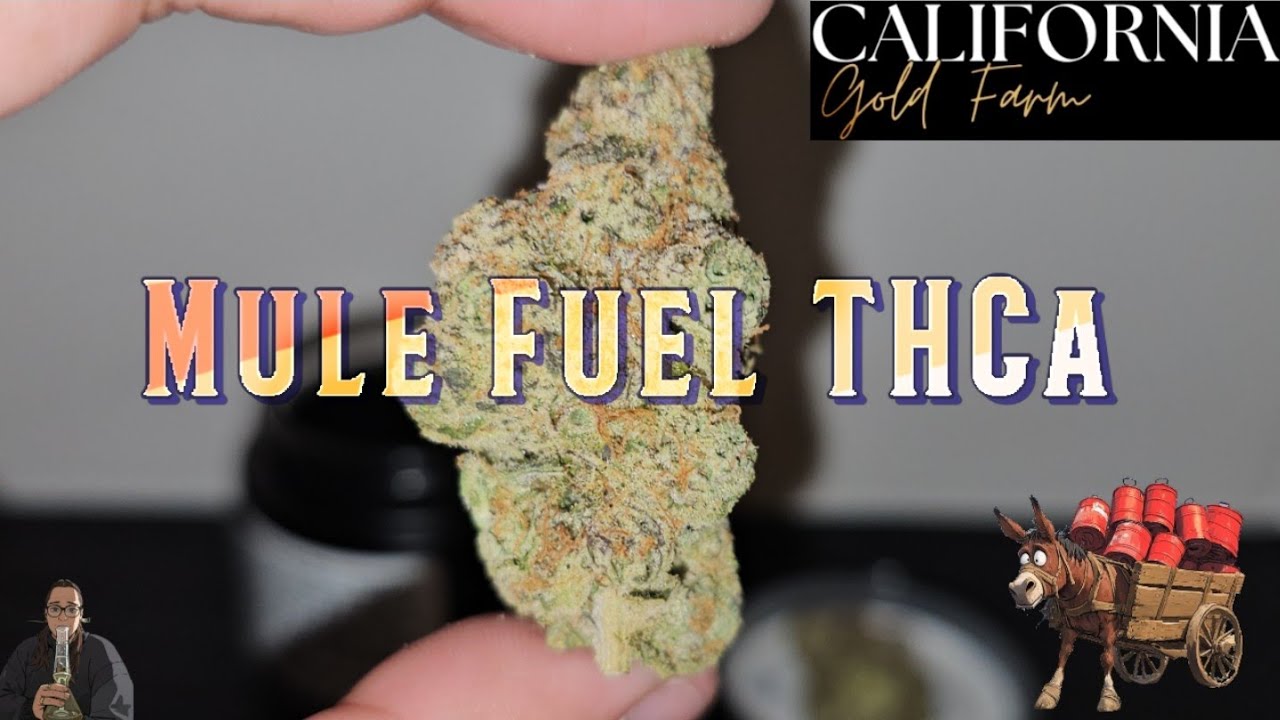 Mule Fuel | California Gold Farm