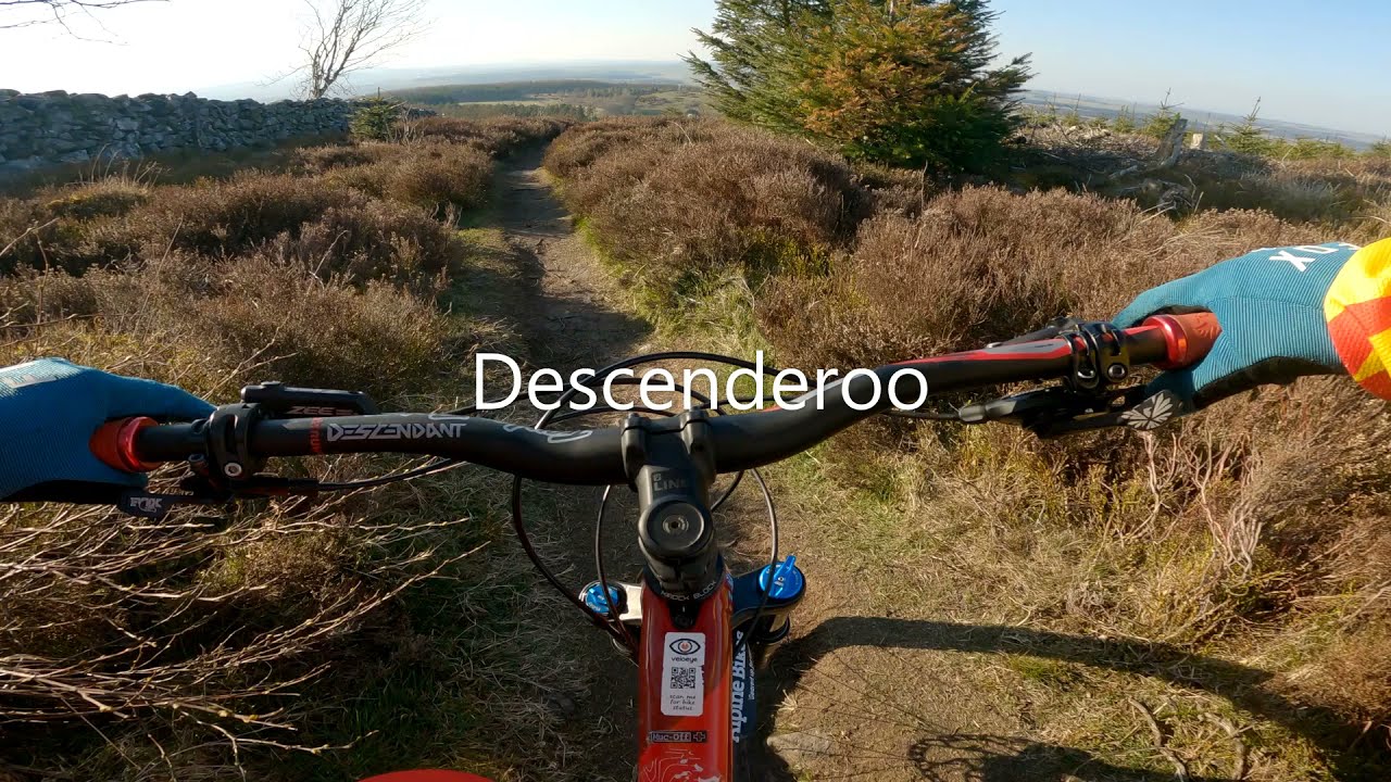 Aberdeen Kirkhill forest MTB