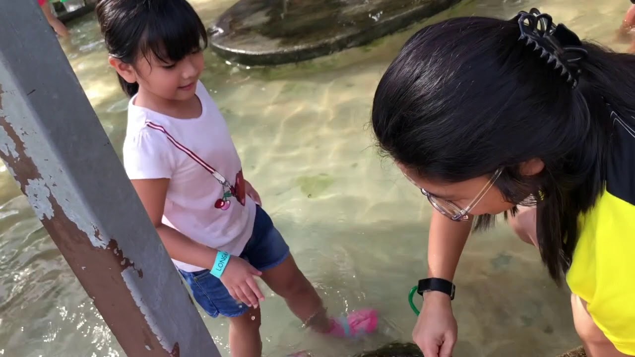 VLOG #3: Longkang KIDS Fishing @ ORTO SINGAPORE