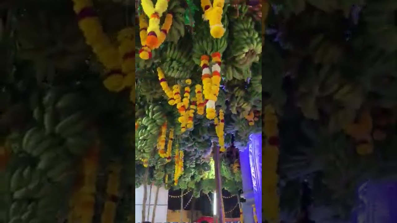 Kelyachi jatra (celebration off-the banana) at the Babreshwar Temple | Goa | Babreshwar Temple