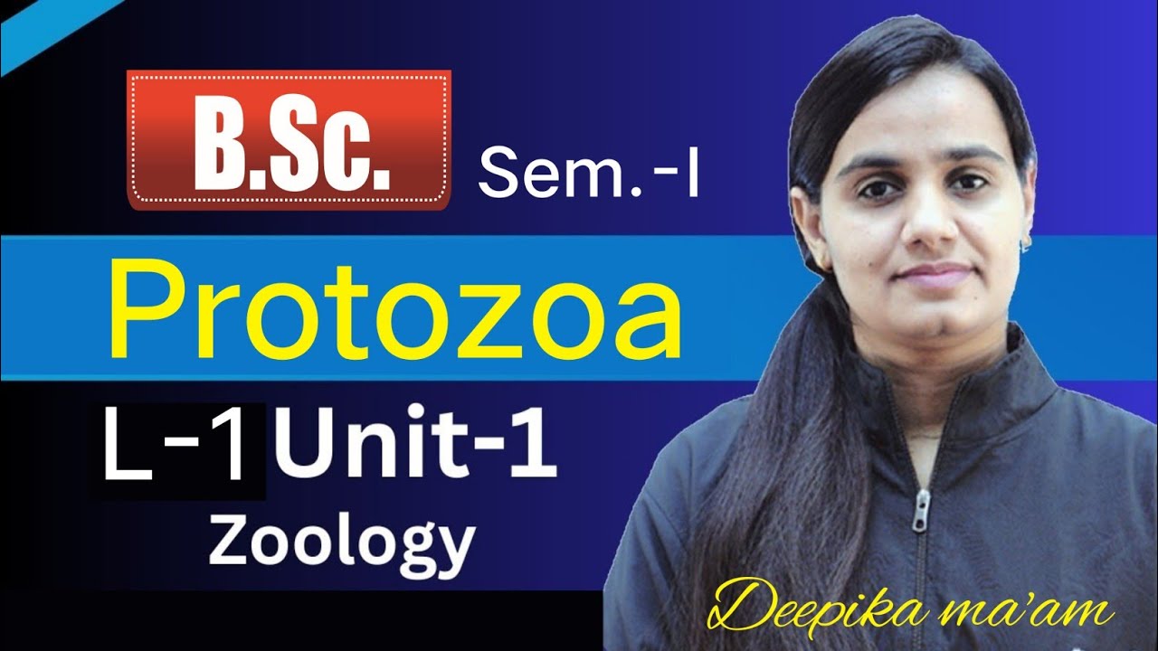 Lecture 1 Protozoa | Animal Taxonomy | B.Sc. Semester-1 Zoology Unit-1 #bsc #zoology