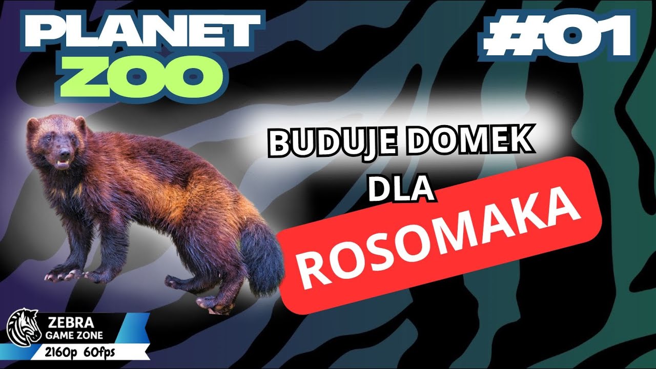 Planet Zoo _ Buduje domek dla Rosomaka! _ #01 [PL]