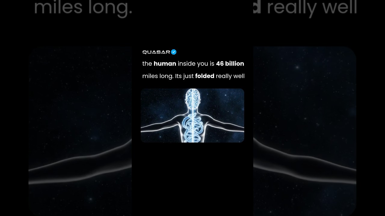 You&rsquo;re 46 billion miles long you just can&rsquo;t see it.
