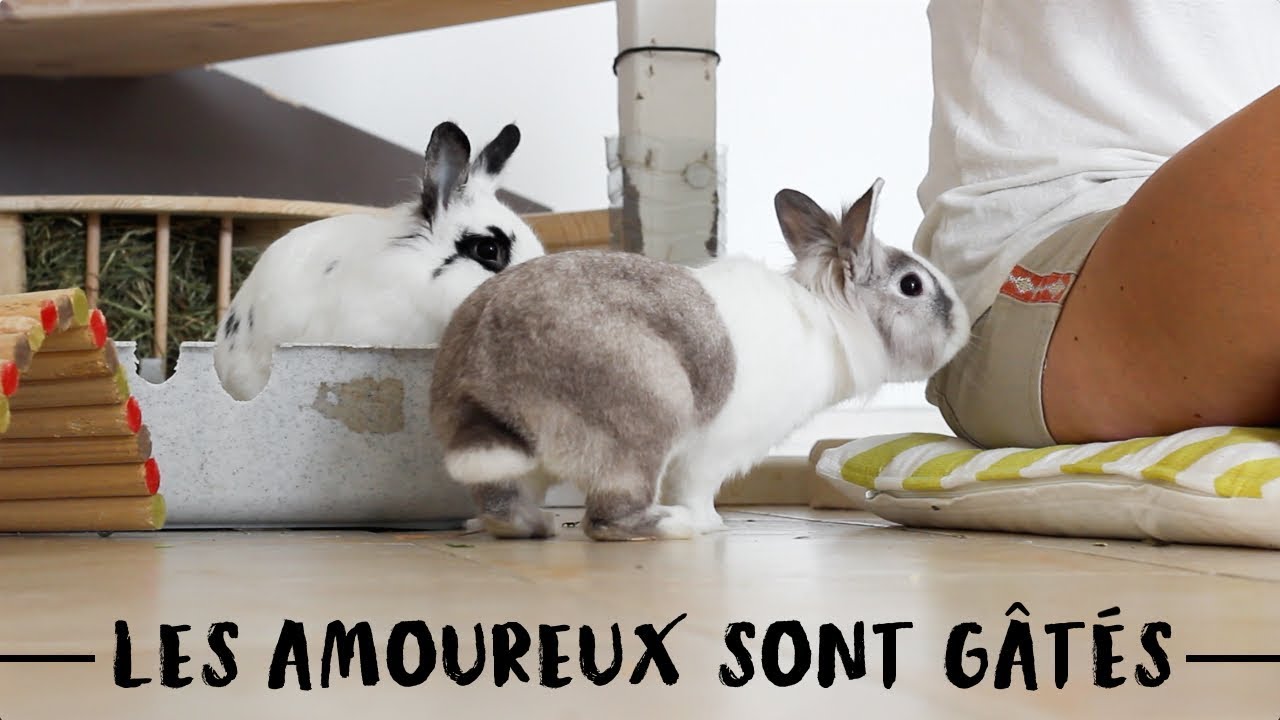Unboxing BAMM Paris avec Arizona & Houston 🐰 | Friendly Beauty