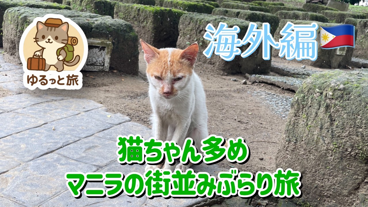 ゆるっと旅【海外編】猫ちゃん多め🐱マニラの街並みぶらり旅