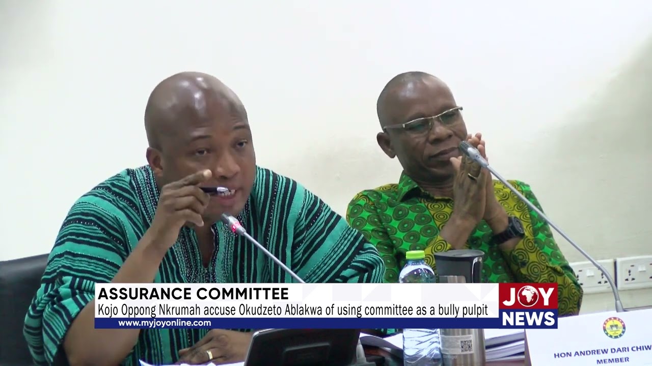 Kojo Oppong Nkrumah accuses Okudzeto Ablakwa of using committee as a bully pulpit #JoyNews