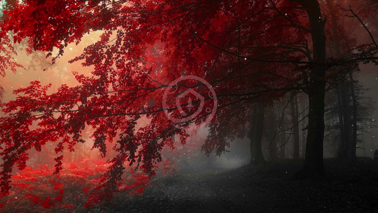 Safemoon Protocol - Autumn (Wallpaper Engine)