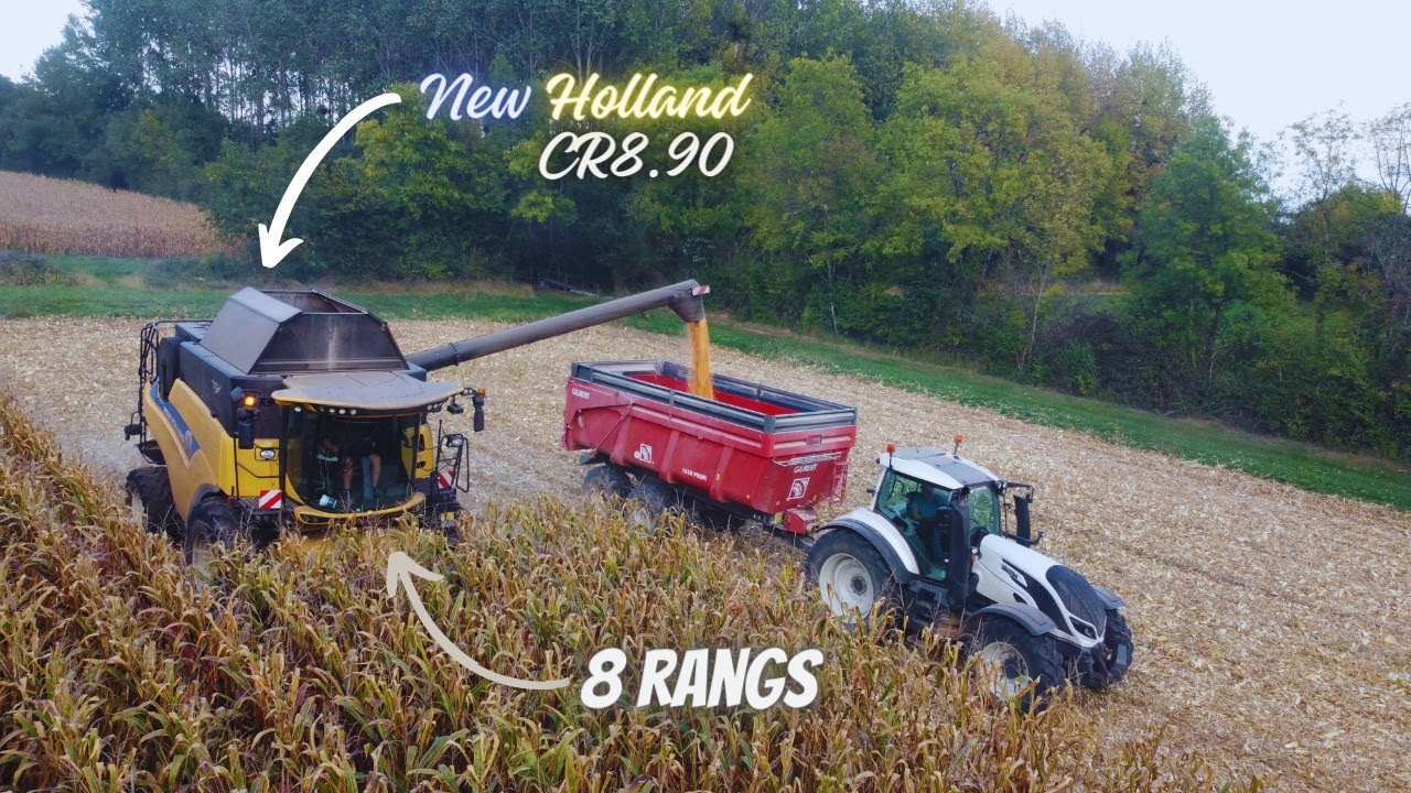 moisson maïs grain 2023 🌽 avec une petite surprise pour la fin 😉