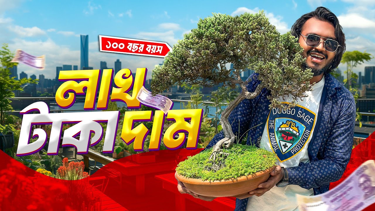 লাখ টাকার গাছ বানিয়েছে রাস্তা থেকে কুঁড়িয়ে । Rescued Tree worth Lakhs
