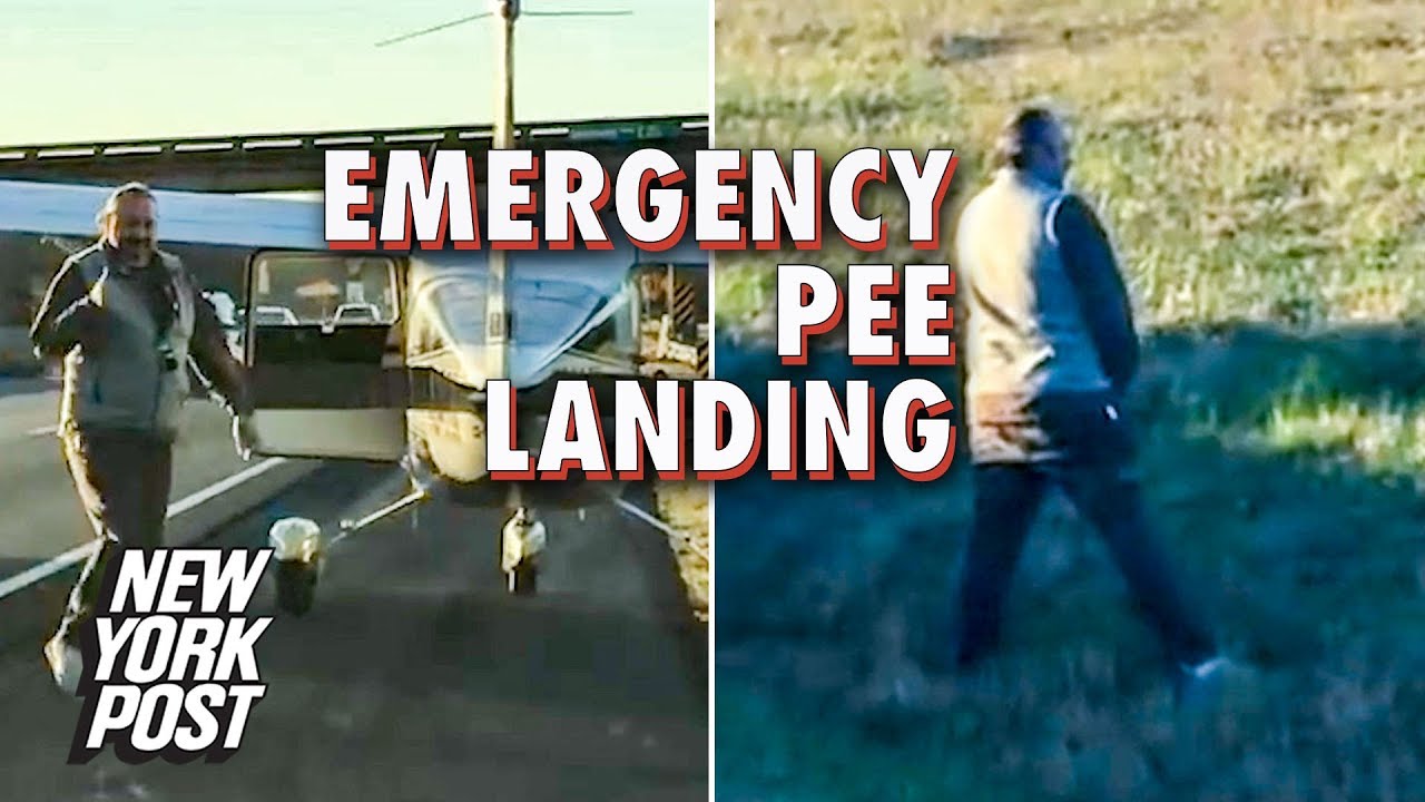 Plane has emergency landing on highway, so pilot urinates on side of road | New York Post