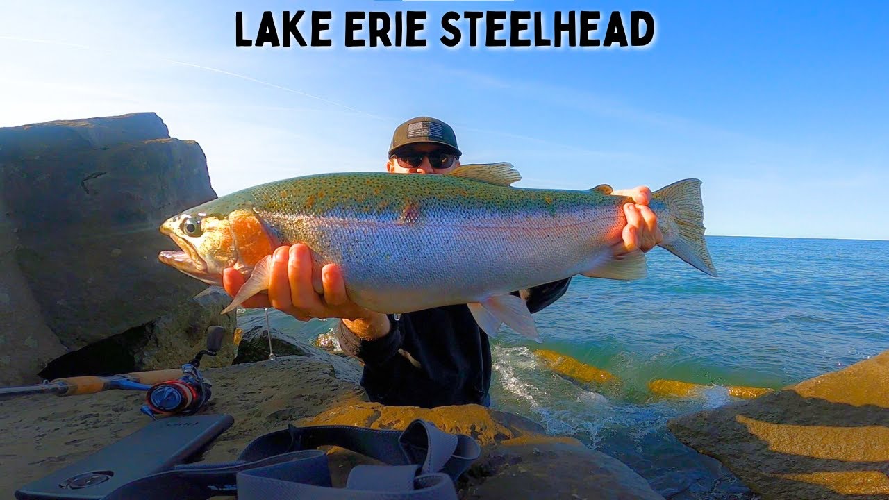 Lake Erie STEELHEAD Breakwall Fishing