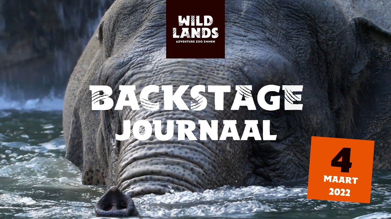 WILDLANDS Backstage Journaal 4 maart 2022
