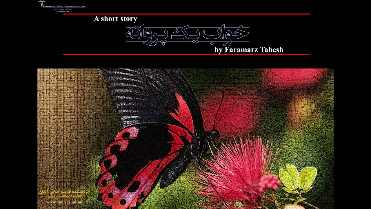 خواب یک پروانه