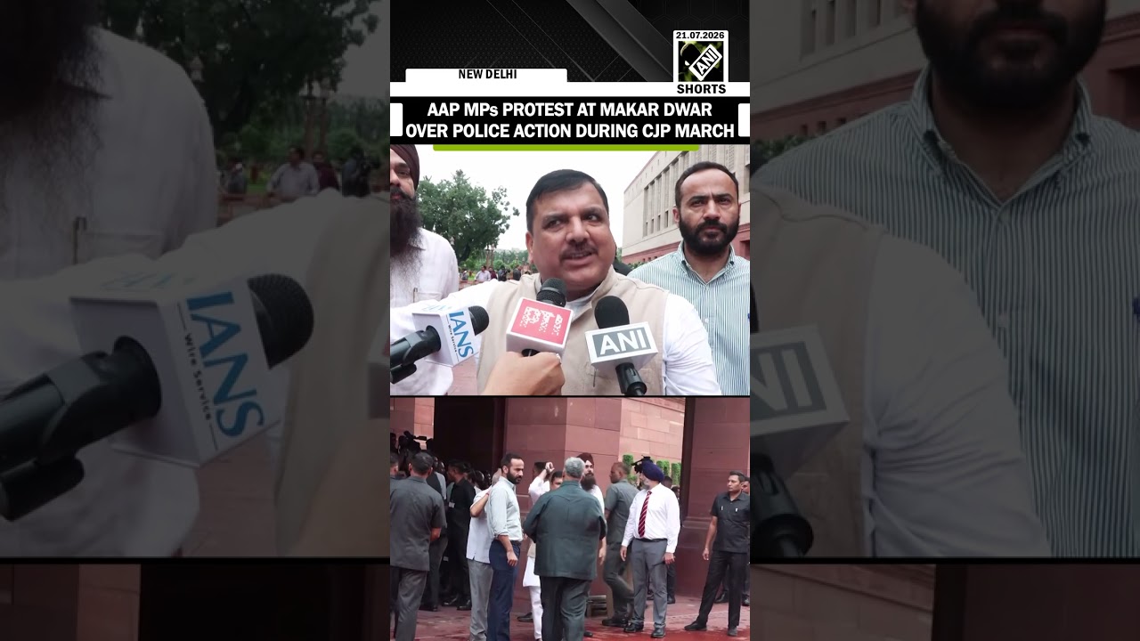 AAP MPs in Rajya Sabha protest at Parliament&rsquo;s Makar Dwar over police action during CJP march