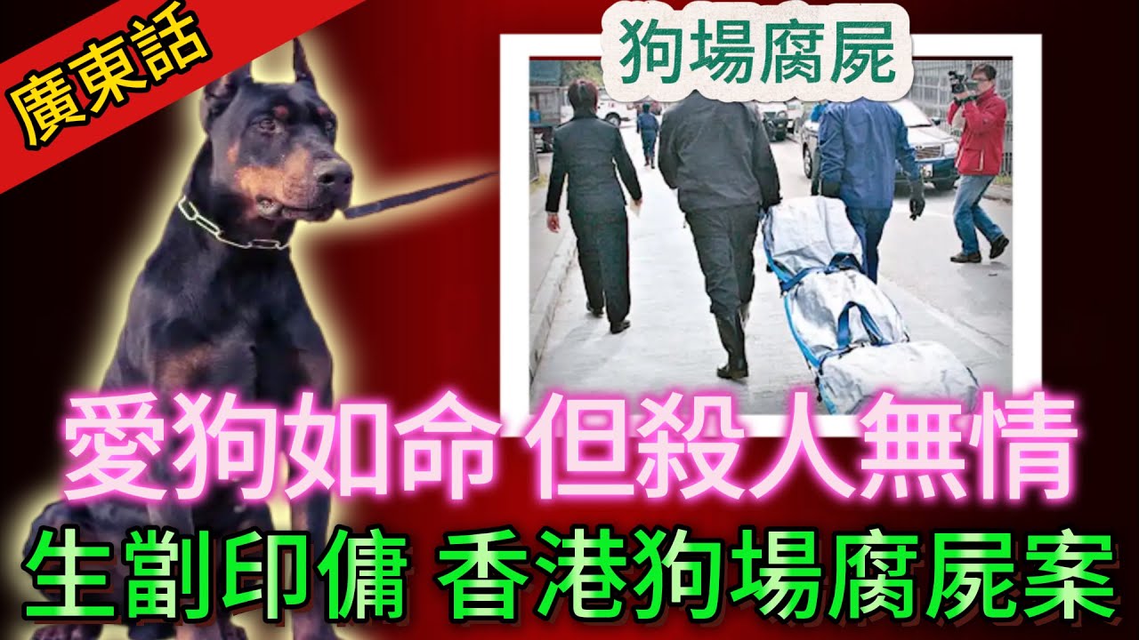 【真實案件】| 熱心狗場義工，冷血生劏印傭，都係為咗D狗？愛狗如命，但殺人無情，香港狗場腐屍案！#犯罪#案件解說
