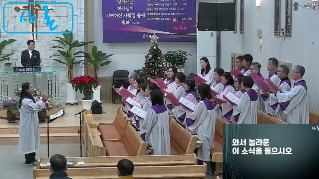 샤론 20251221