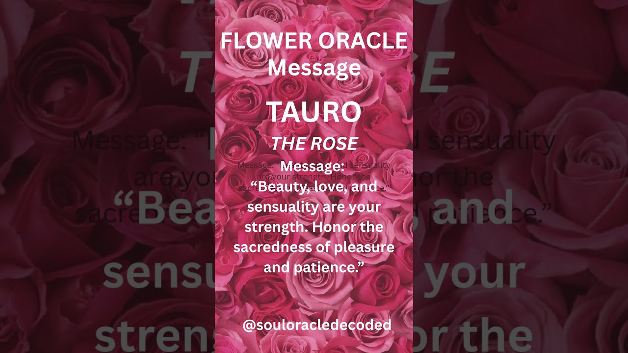 Soul Oracle Decoded - FLOWER ORACLE   TAURUS  The Rose
