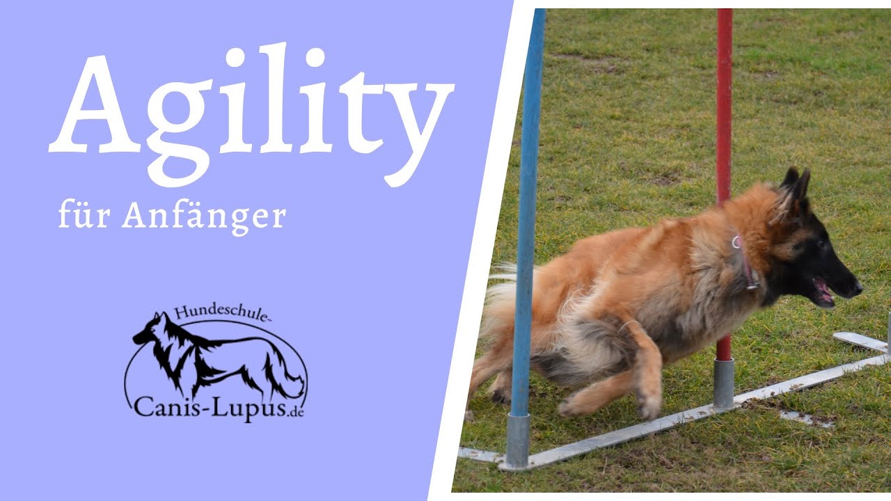 Agility 