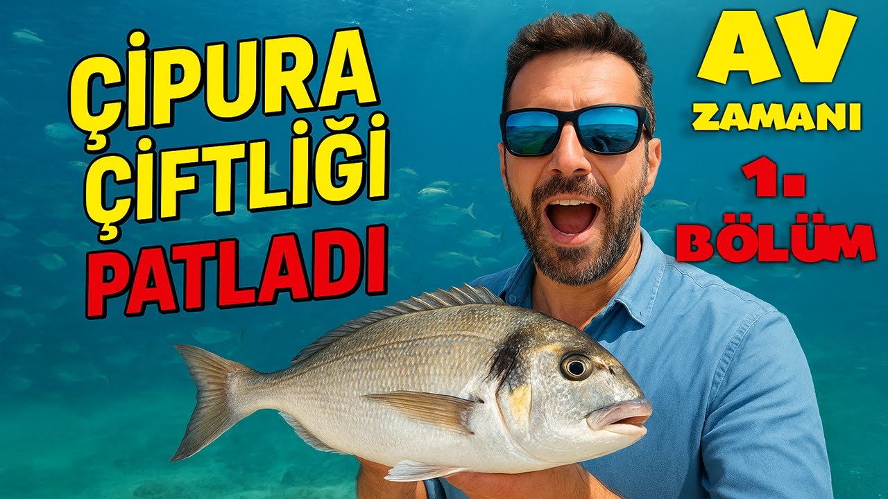 ÇİPURA ÇİFTLİĞİ PATLADI! YÜZEREK BALIK YAKALADIK - BÖYLE BALIK AVI GÖRMEDİNİZ! ÇİPURA AVI 🎣🐟1. BÖLÜM