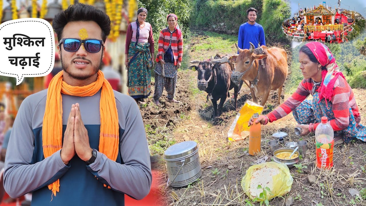 पहाड़ी खेतों में काम और एक मुश्किल ट्रेकिंग का मज़ा || Pahadi Lifestyle  Namaste Pahad Ashutosh Negi
