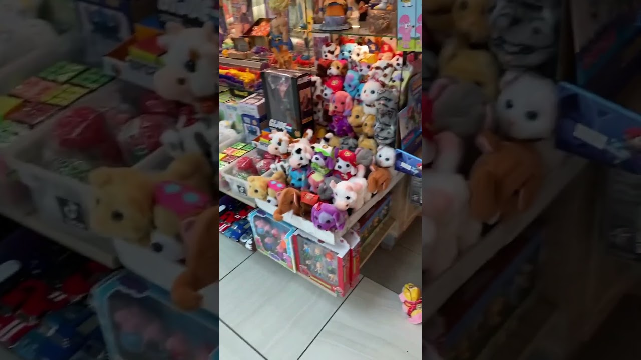 Willowbrook Mall NJ Toys 🧸 Samples 9/7/2024 