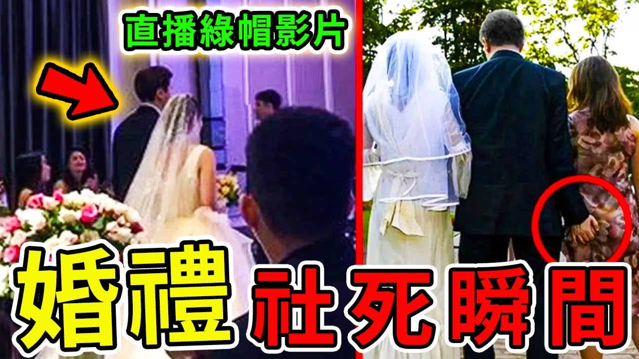 婚禮最社死的20個驚人瞬間！新郎新娘現場上演婚禮格鬥，甚至直播放出綠帽視頻，賓客們化身“戰地”記者。|#世界奇譚 #社死 #尴尬 #世界之最 ...