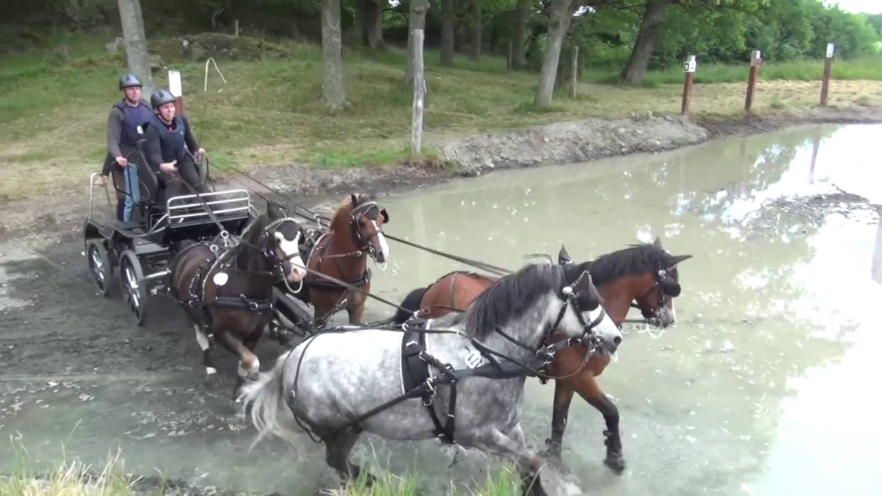 Sportkörning Maraton Tjolöholm 2016 Del2: Msv Ponny/Häst Enbet ,Par och
Fyrspann