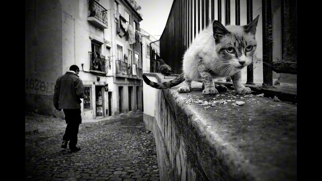 CALLEJERO - KNIJO_1312