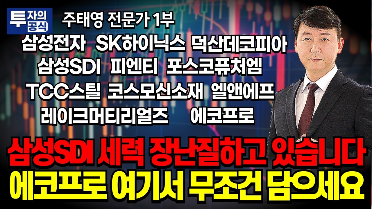 세력들 장난질하는 삼성SDI와 매수하기 가장 완벽한 에코프로의 가격 / 주태영 전문가 1부