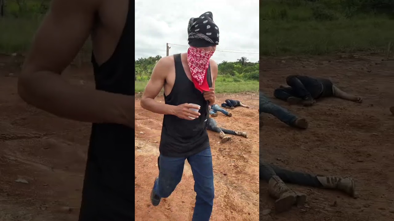 Continuação do feijão o cara voltou