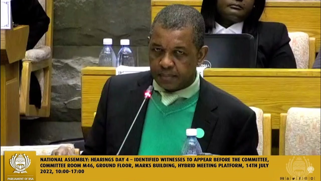 Adv Dali Mpofu, Malema Grill MP & Van Loggerenberg at Mkhwebane inquiry.